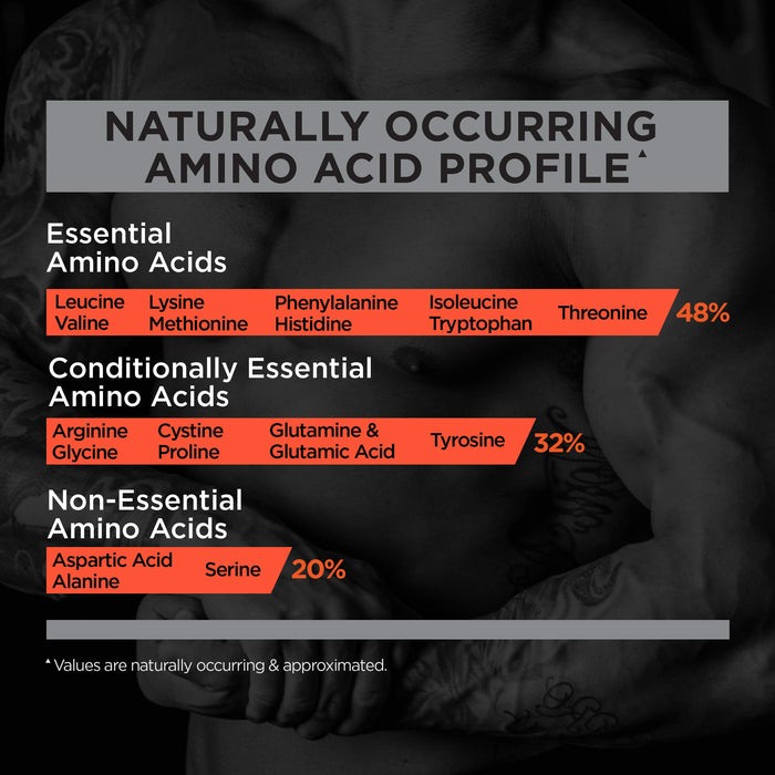 Rule One R1 Protein 899g - Whey Proteins at MySupplementShop by Rule One